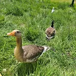 The Seaflower - With Views Apartamento Millom