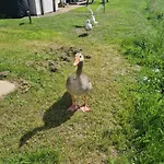 The Seaflower - With Views *