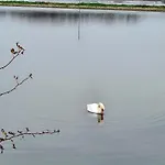 The Seaflower - With Views Apartamento