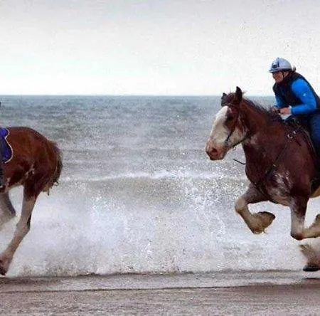 Daire The Seaflower - With Views Millom