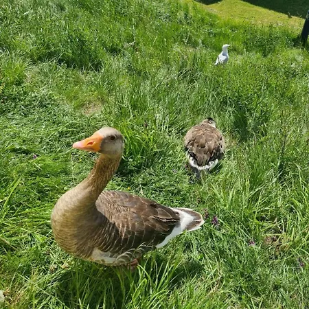 The Seaflower - With Views *