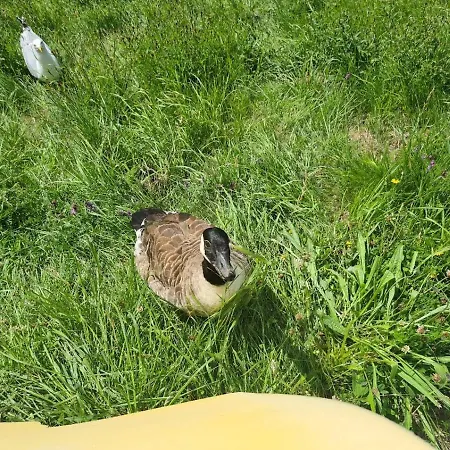 Lejlighed The Seaflower - With Views