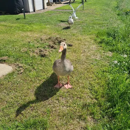 The Seaflower - With Views *