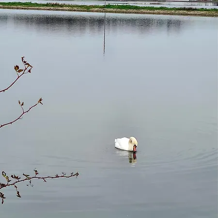 The Seaflower - With Views Lejlighed